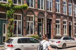   venlo